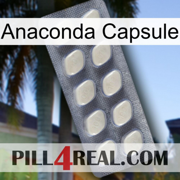 Anaconda Capsule 08.jpg